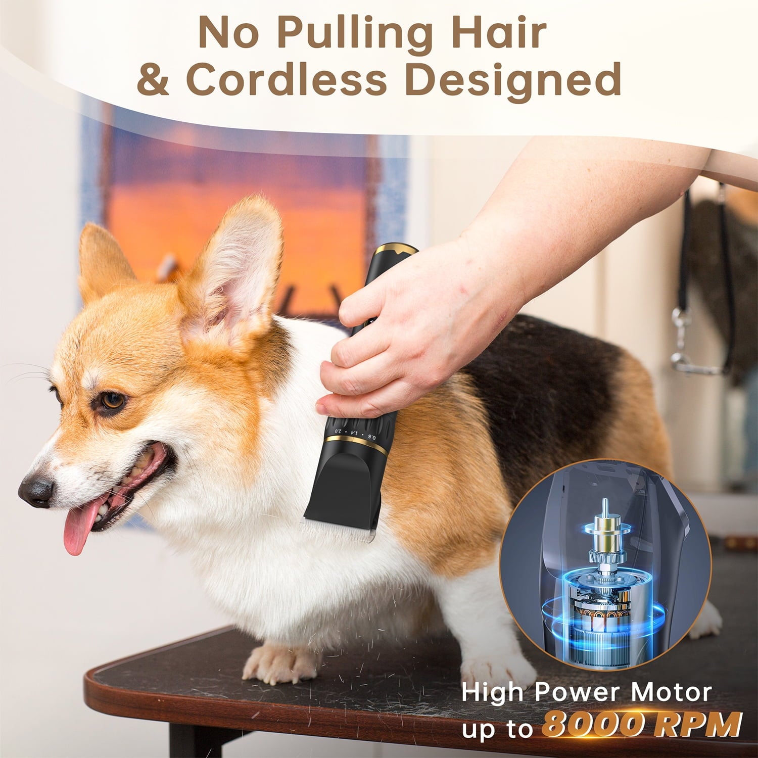 Cshidworld Dog Clippers Grooming Kit, Rechargeable Cordless Pet Hair Clipper Trimmer Shaver, 3-Speed Low Noise Pets Tools with LCD Display, Scissor, 6 Comb Guides for Thick Coats Dogs Cats Animals