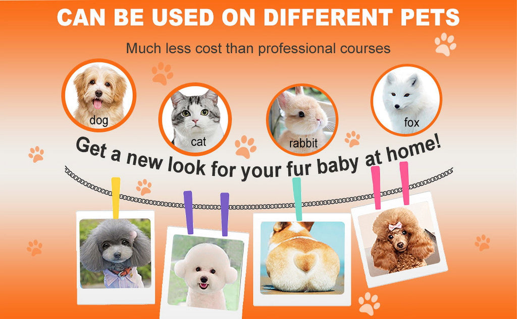 Dogs Hair Clippers Grooming Kit with Nail Grinder, 4-in-1 Electric pet Clippers for Dogs, Low Noise USB Rechargeable Cordless for Dogs Cat, Grooming Paws, Eyes, Ears, Face, Matted Hair, White