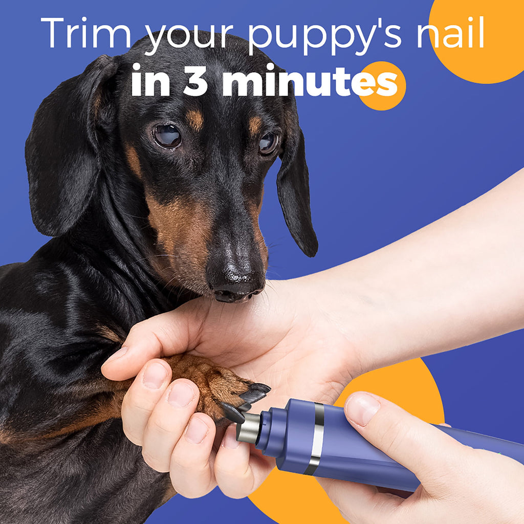 Oneisall 4 In 1 Dog Paw Trimmer for Small Dogs, N12 Low Noise 2 Speed Dog Grooming Kit Includes 3 Trimmer Heads & 1 Nail Grinder Head, Cordless Dog Clippers for Grooming & Dog Nail Grinder - Navy