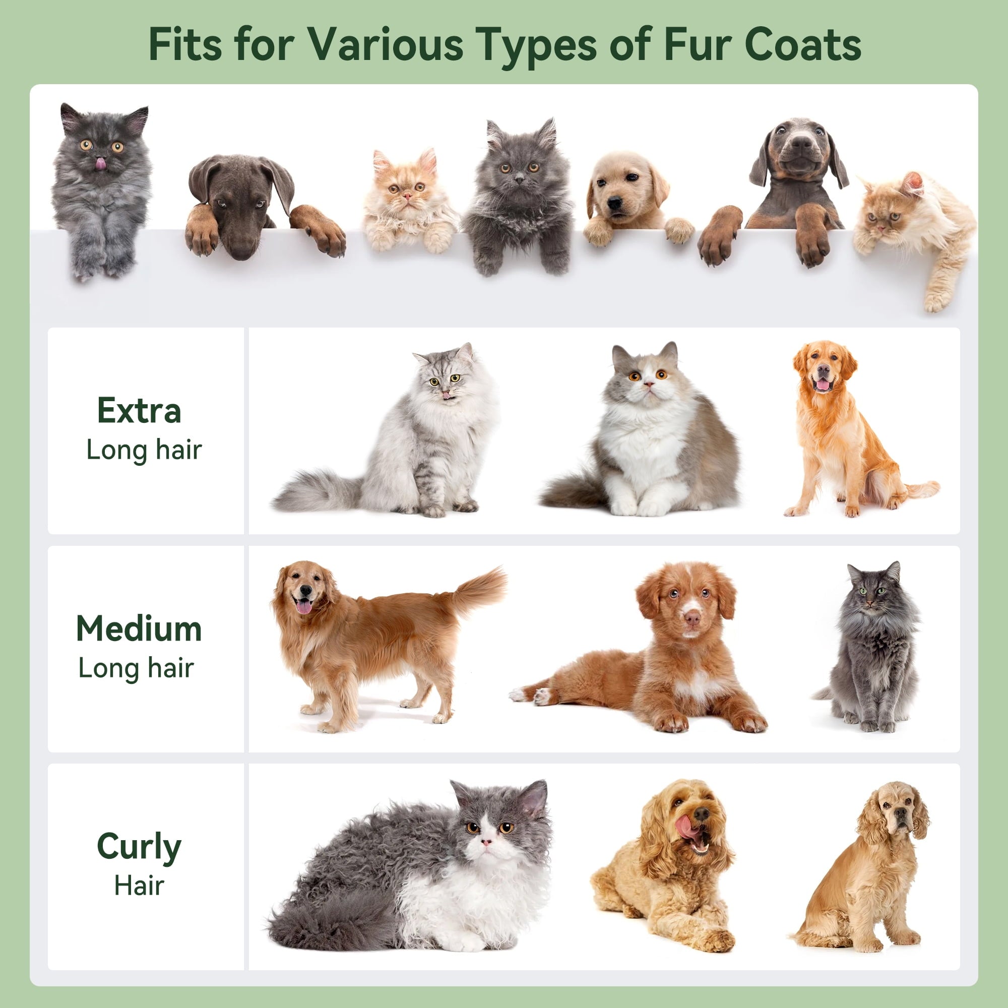 5 In 1 Pet Grooming Kit Vacuum Suction Professional Pet Hair Clipper, 1.5L Grooming Tools for Dogs Cats Pets, Dog Vacuum Brush for Shedding Grooming