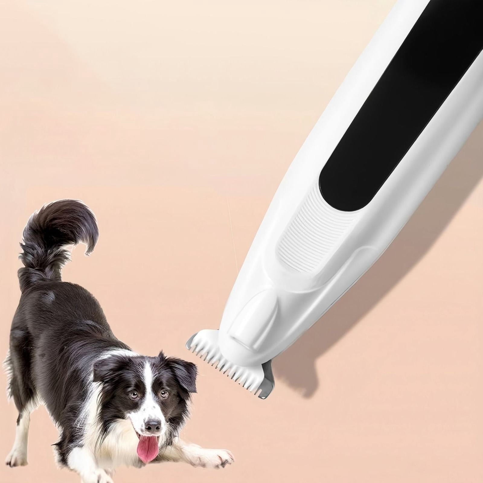 SeekLGT Dog Paw Trimmer, Cordless Precision Dog Grooming Clippers, Low Noise USB Rechargeable Pet Hair Shaver for Ears and Eyes, Professional Grooming Kit, 1ml Oil, 1-Set