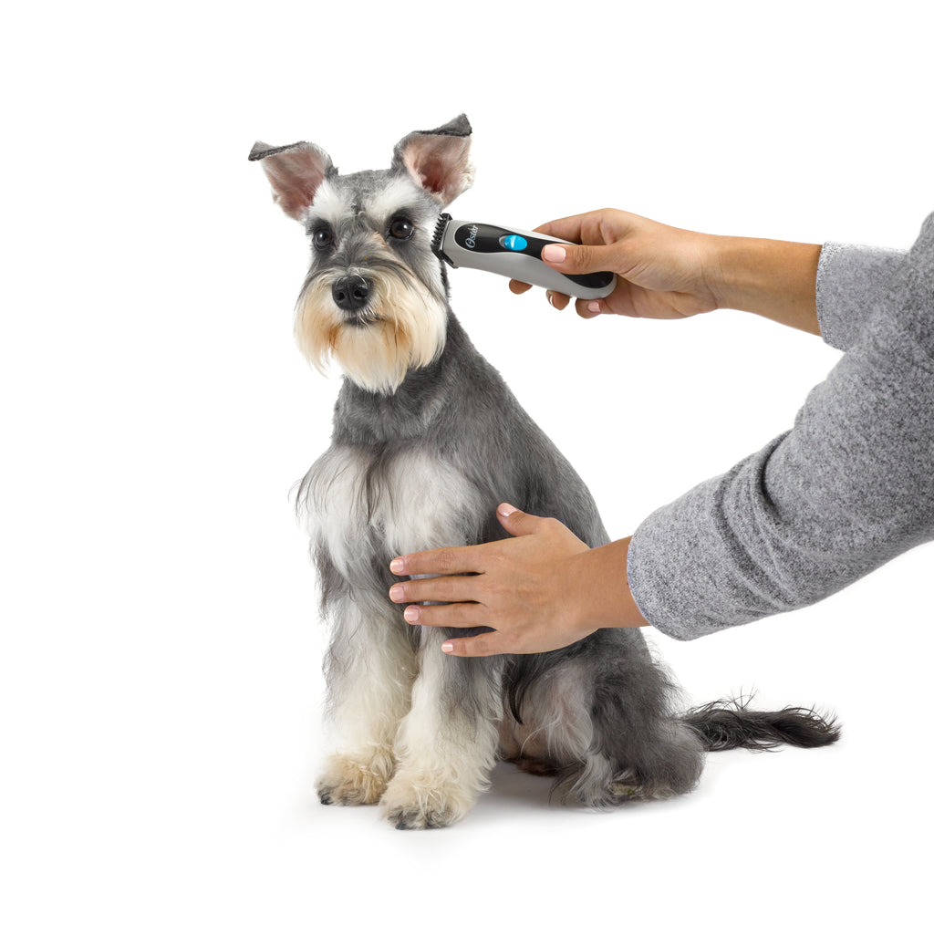 Oster Less Stress Cordless Dog and Cat Trimmer