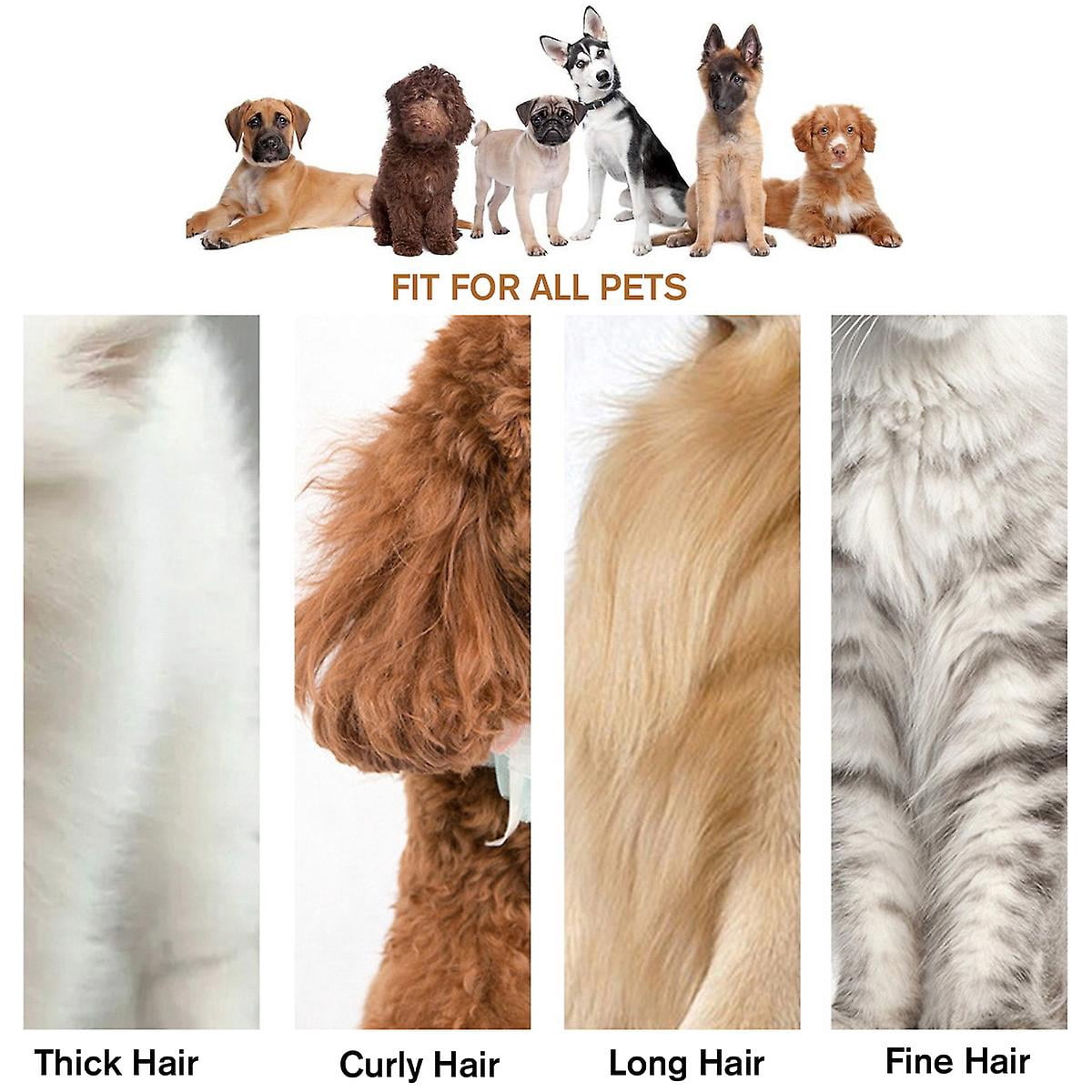 Electric Cat Dog Pet Shave Clipper Hair Low Noise Cordless Grooming Trimming Kit