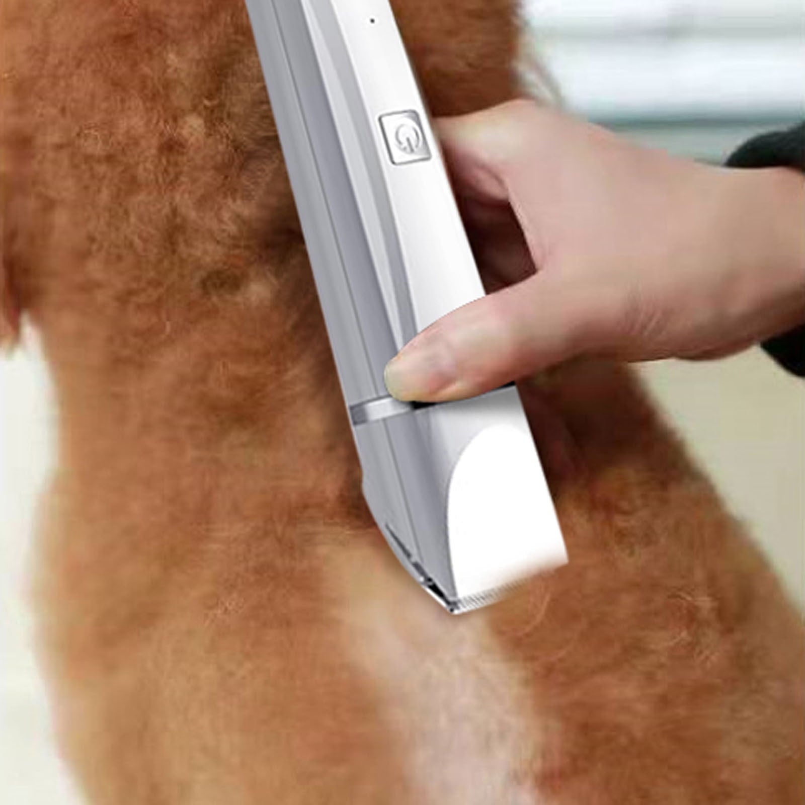 2026 4-in-1 Pet Grooming Kit Low Noise Cordless Trimmer for Dogs and Cats