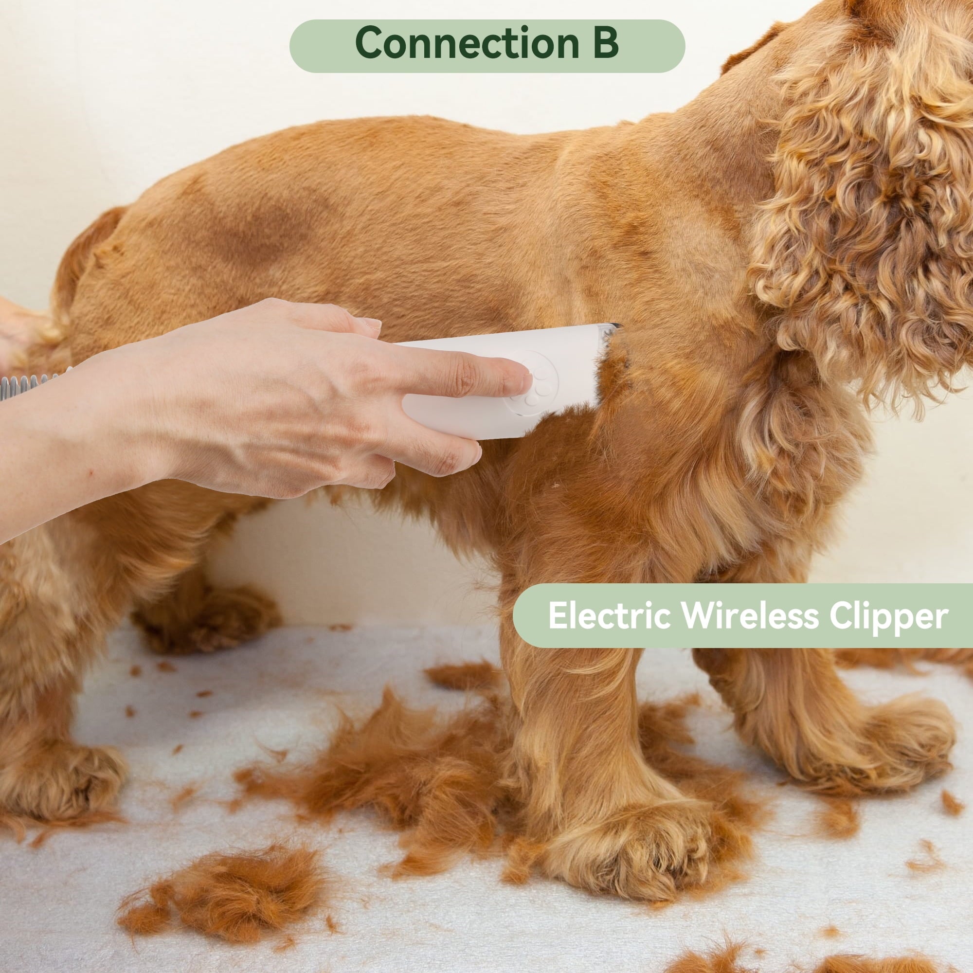 5 In 1 Pet Grooming Kit Vacuum Suction Professional Pet Hair Clipper, 1.5L Grooming Tools for Dogs Cats Pets, Dog Vacuum Brush for Shedding Grooming
