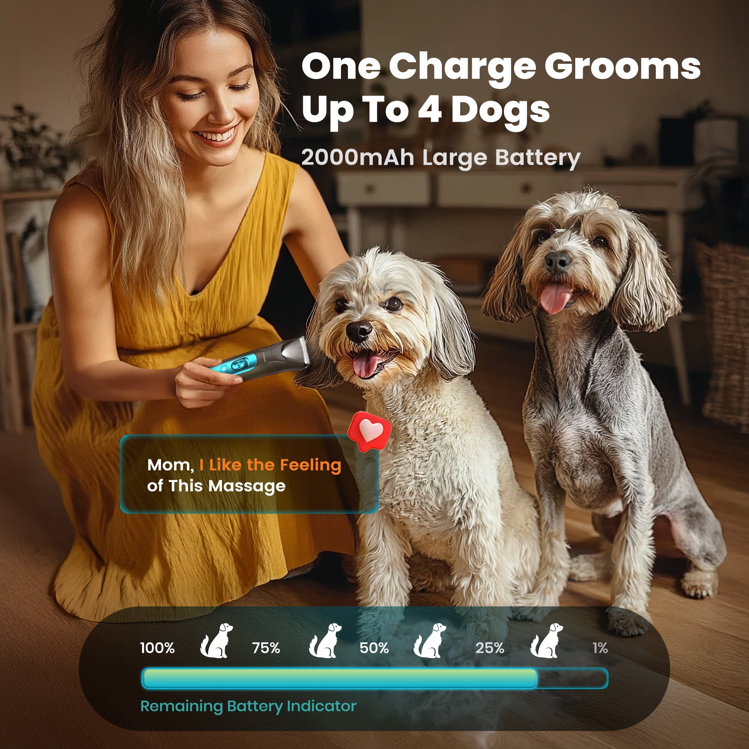 Oneisall 4-in-1 Cordless Dog Grooming Kit with LED Light, FC10 Dog Clippers & Dog Paw Trimmer & Dog Nail Grinder & Dog Grooming Clippers, Blue Grey