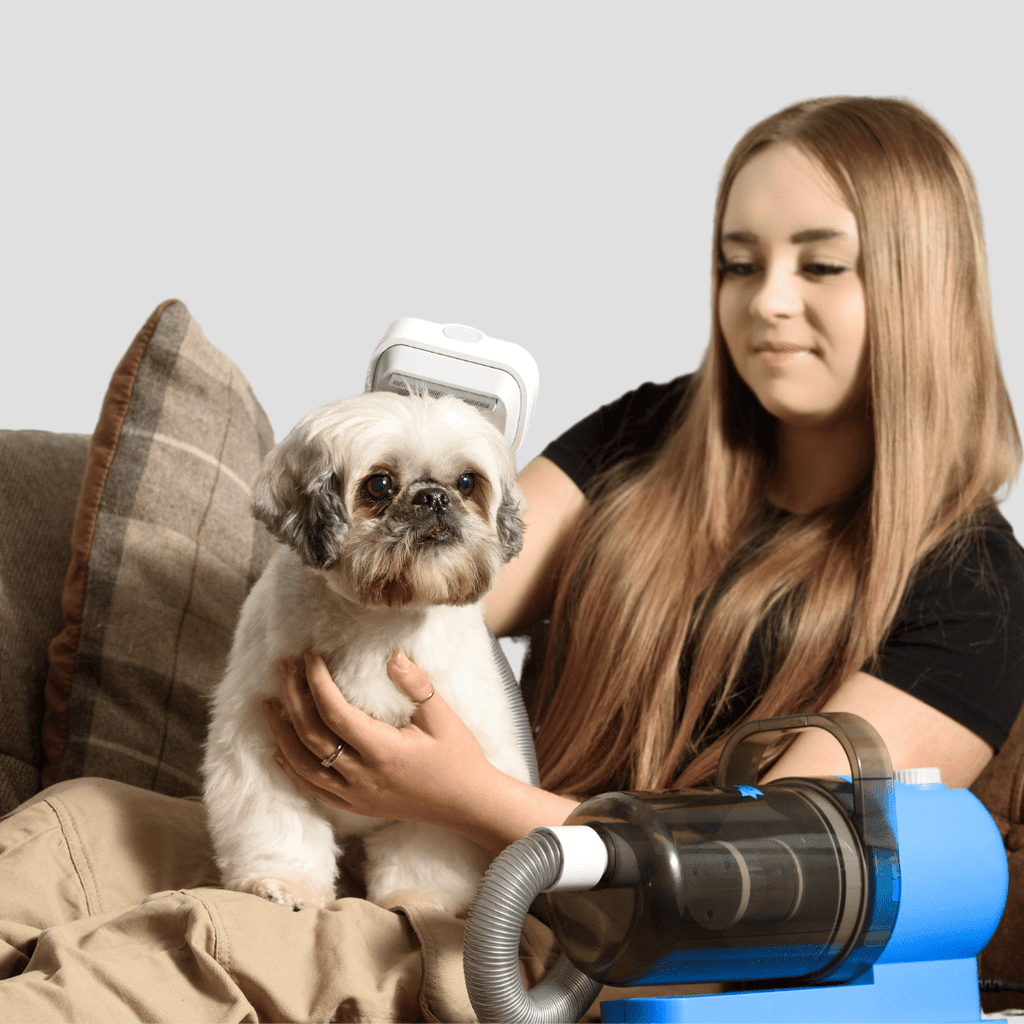 Pet Grooming Kit for Dogs & Cats, with Vacuum, Removes up to 99% of Fur, Brushes, Clippers, for Shedding, Low Noise, Adjustable Speed Suction, 16 pcs, Blue