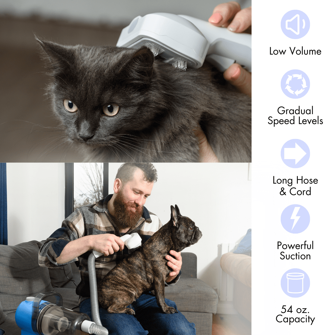 Pet Grooming Kit for Dogs & Cats, with Vacuum, Removes up to 99% of Fur, Brushes, Clippers, for Shedding, Low Noise, Adjustable Speed Suction, 16 pcs, Blue