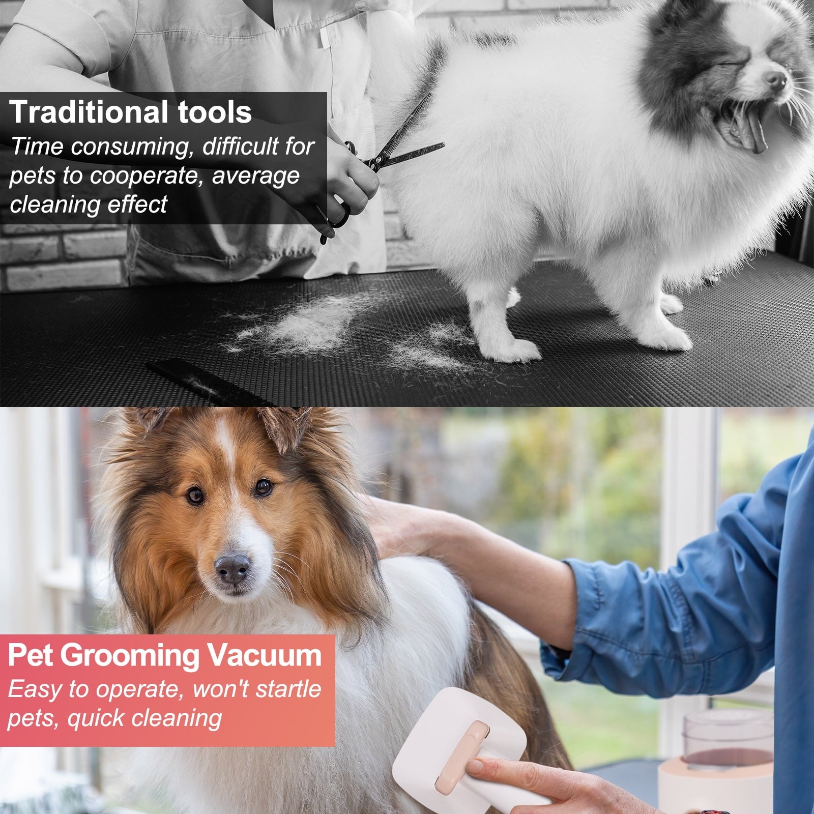 Dog Grooming Kit with Pet Grooming Vacuum 10000pa Low Noise 5 Pet Grooming Tools,og Clipper, Shedding Brush, Cleaning Tool in 1, for Cat Dog