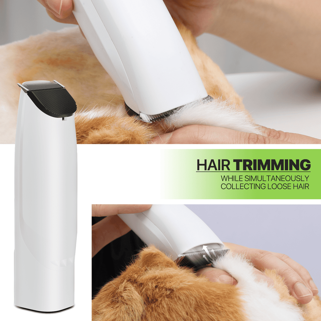 Magshion 3 in 1 Pet Dog Grooming Kit with 4L Dustbin, Low Noise Vacuum Suction & Adjustable Speed Dryer & Hair Trimmer Kit, 6 Grooming Tools, Deshedding Brush, Yellow
