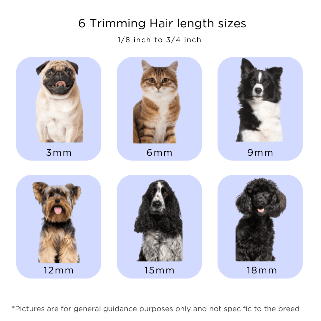 Pet Grooming Kit for Dogs & Cats, with Vacuum, Removes up to 99% of Fur, Brushes, Clippers, for Shedding, Low Noise, Adjustable Speed Suction, 16 pcs, Blue