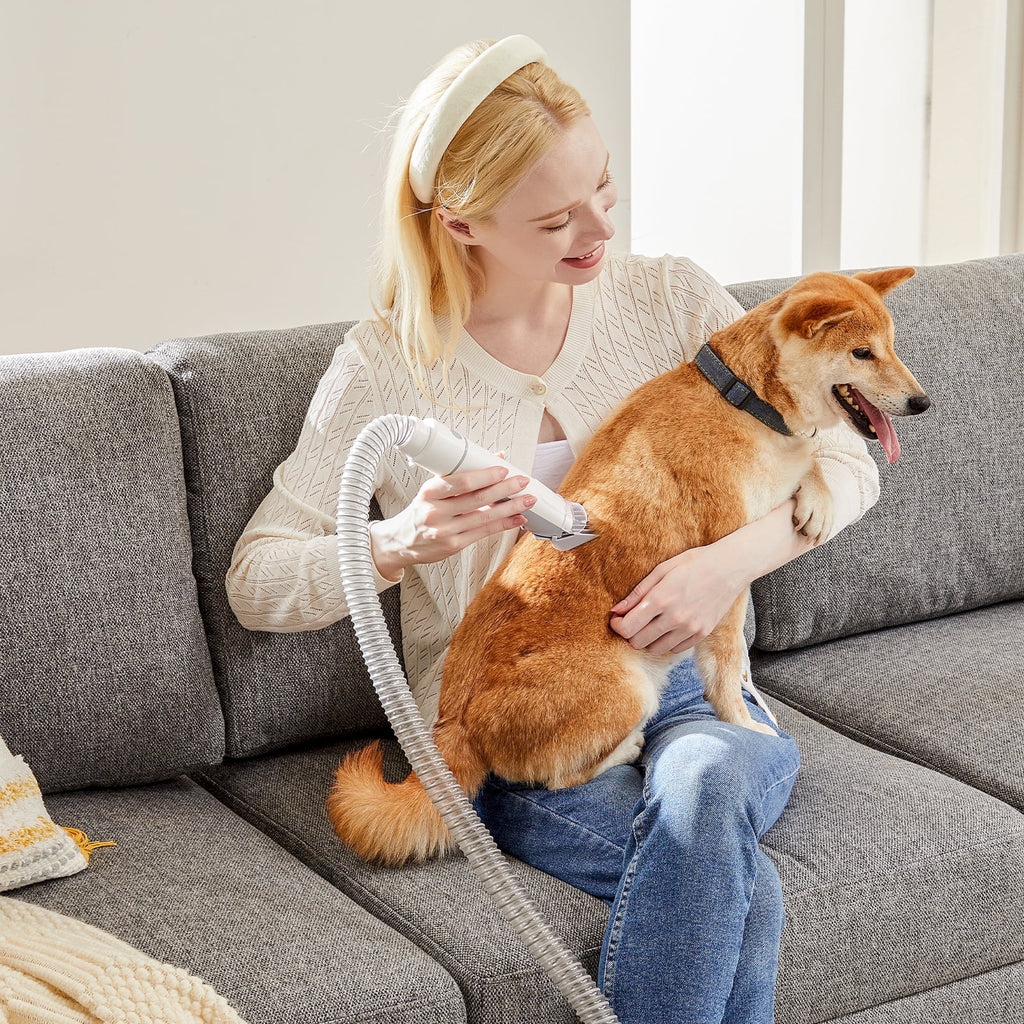 MCQ 5 in 1 Dog Grooming Vacuum Kit: Electric Pet Trimmer Clipper with 2.5L Dust Box, Ultra-Quiet Operation