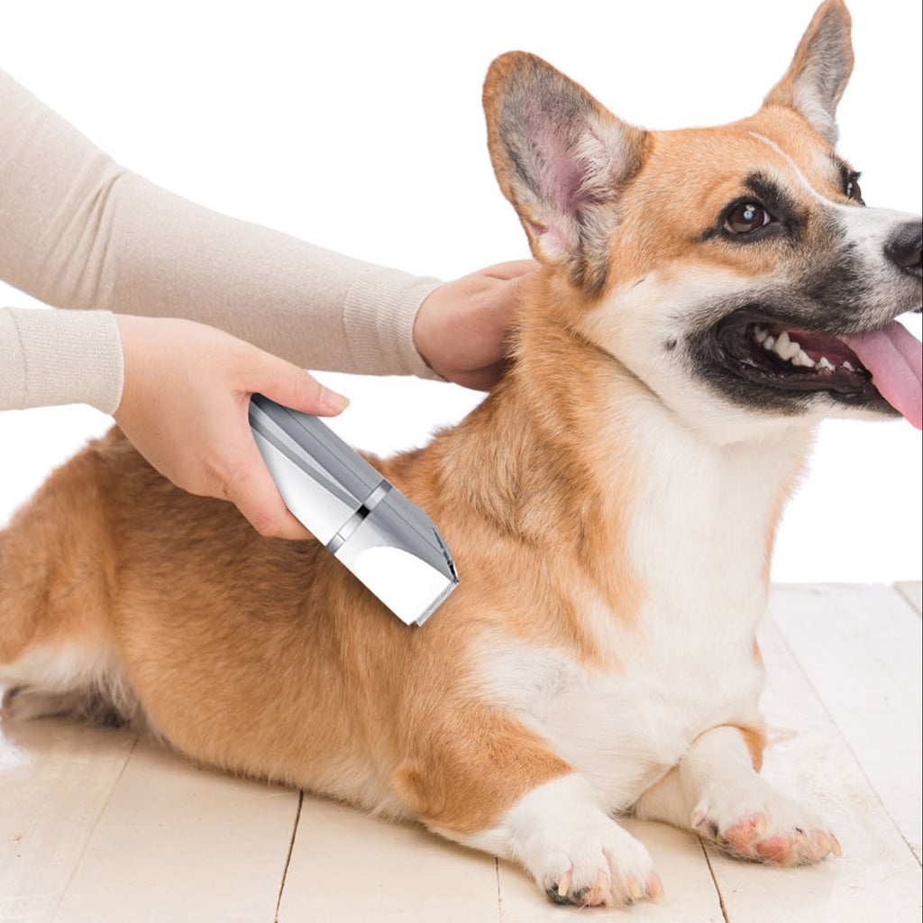 2026 4-in-1 Pet Grooming Kit Low Noise Cordless Trimmer for Dogs and Cats