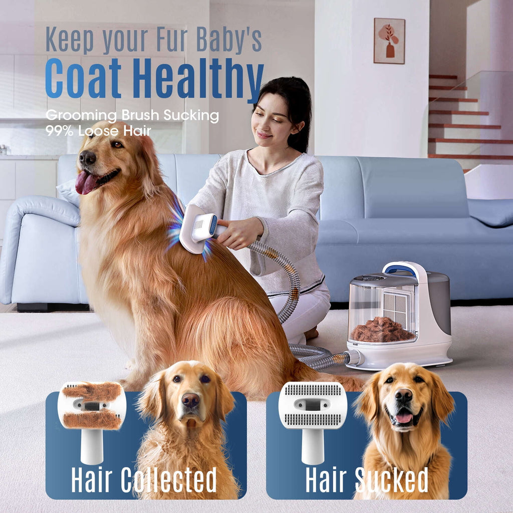 Oneisall LM5 Dog Grooming Vacuum/13Kpa Low Noise Pet Grooming Vacuum /3L Large Dust Bin Dog Vacuum for Shedding Grooming/Dog Grooming Kit Including 6 Tools for Dhedding Thick Coats and Home Cleaning