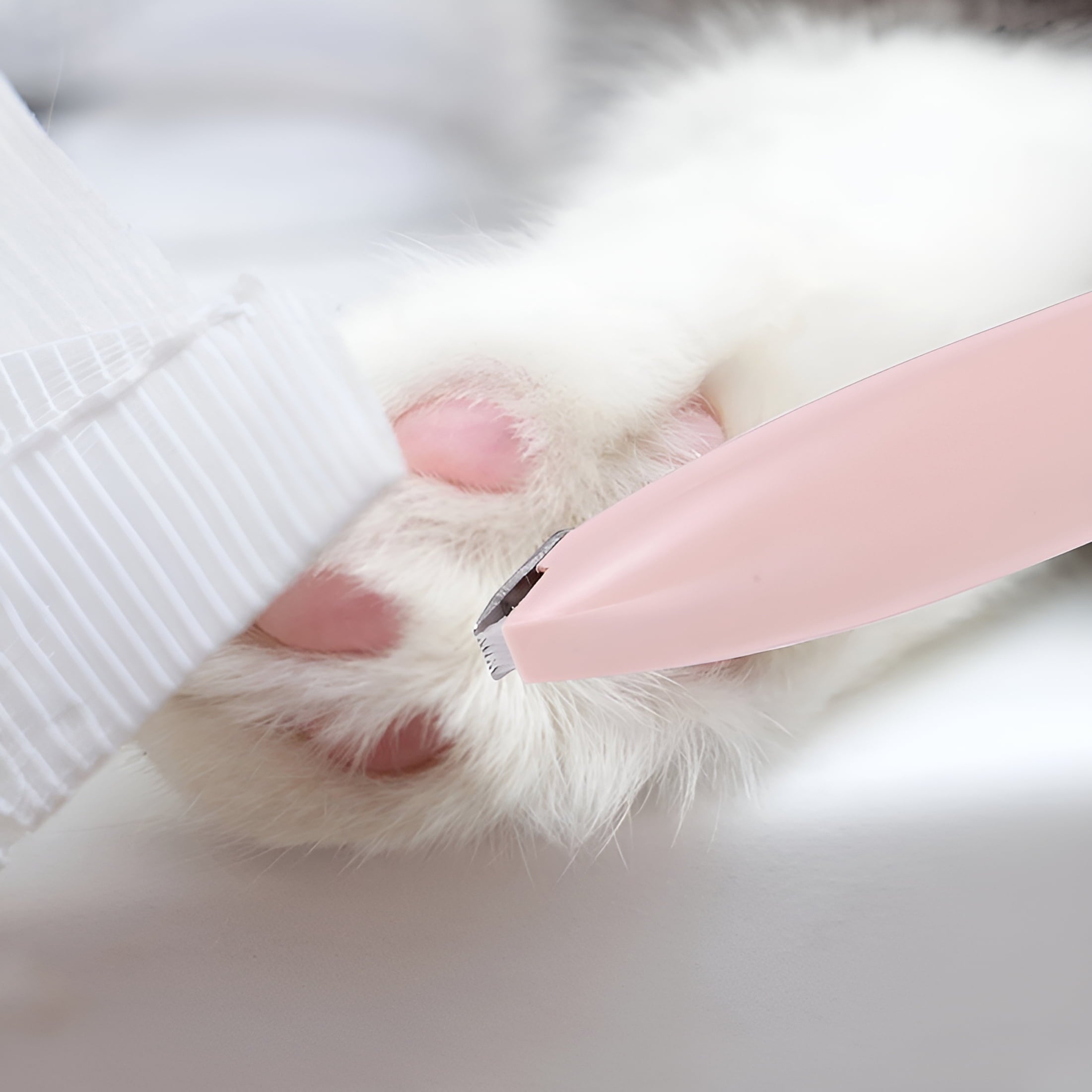 ACDANC Dog Paw Trimmer Cat Clippers for Matted Hair Electric Razor Pet Grooming Scissors Grooming Kit for Dogs at Home
