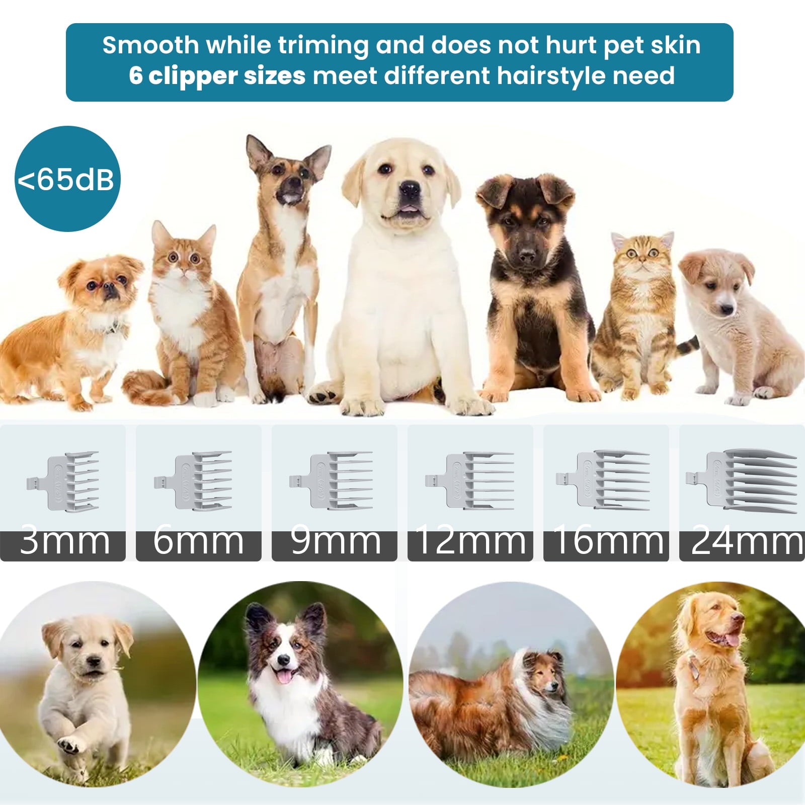 MCQ 5 in 1 Pet Grooming Vacuum Kit with 6 Guide Combs, Low Noise Cordless Dog Cat Trimmer, White
