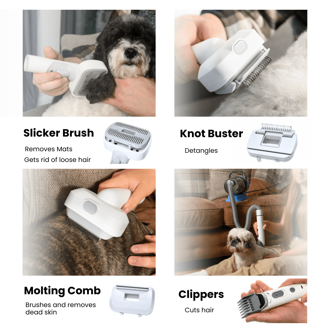 Pet Grooming Kit for Dogs & Cats, with Vacuum, Removes up to 99% of Fur, Brushes, Clippers, for Shedding, Low Noise, Adjustable Speed Suction, 16 pcs, Blue