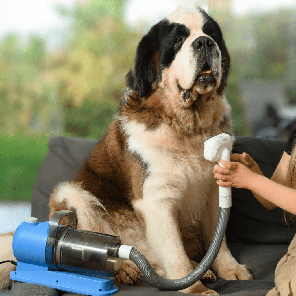 Pet Grooming Kit for Dogs & Cats, with Vacuum, Removes up to 99% of Fur, Brushes, Clippers, for Shedding, Low Noise, Adjustable Speed Suction, 16 pcs, Blue