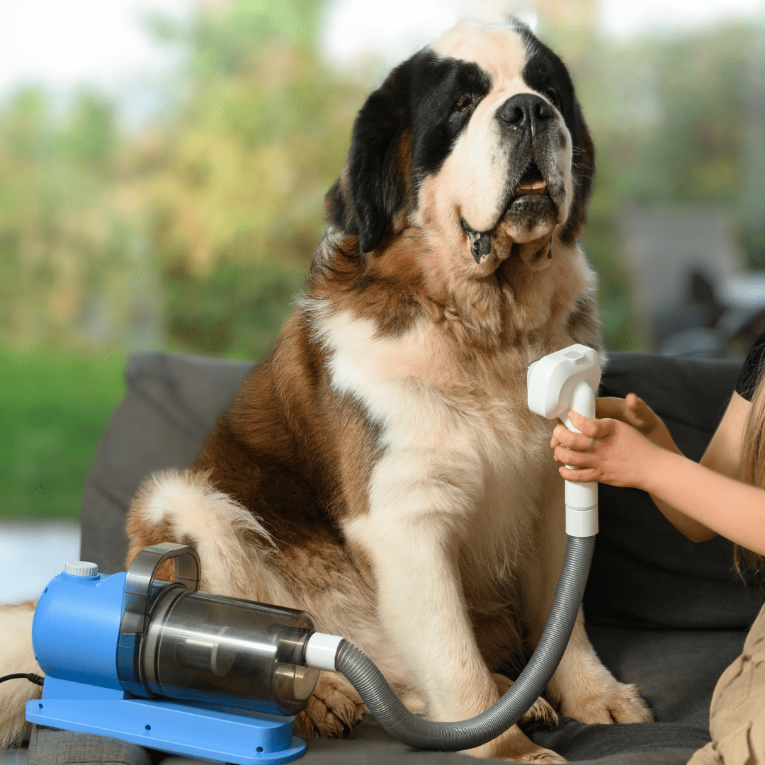 Pet Grooming Kit for Dogs & Cats, with Vacuum, Removes up to 99% of Fur, Brushes, Clippers, for Shedding, Low Noise, Adjustable Speed Suction, 16 pcs, Blue